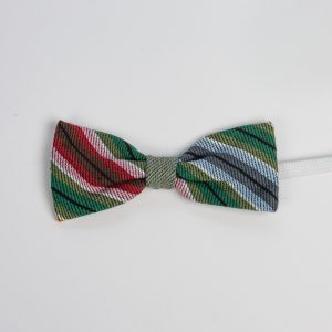 Kikilips väike Koeru