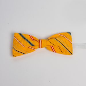 Kikilips väike Muhu kollane