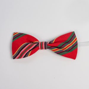 Kikilips suur Viljandi